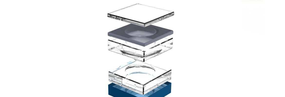 XARION Laser Acoustics Development